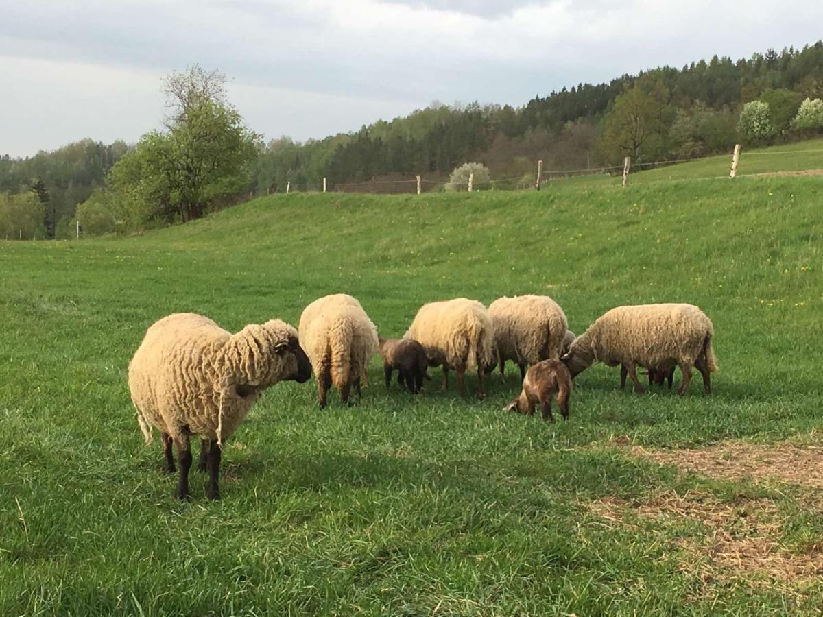Apartmán Statek Straňovice Malenitz Exteriér fotografie
