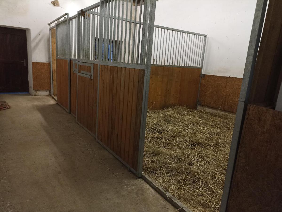 Apartmán Statek Straňovice Malenitz Exteriér fotografie